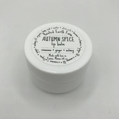 Autumn Spice Lip Balm, Fall Lip Balm, Pumpkin Spice, Herbal Lip Balm, Organic Lip Balm, Natural Lip Gloss, Handmade Lip Balm