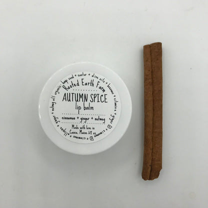 Autumn Spice Lip Balm, Fall Lip Balm, Pumpkin Spice, Herbal Lip Balm, Organic Lip Balm, Natural Lip Gloss, Handmade Lip Balm