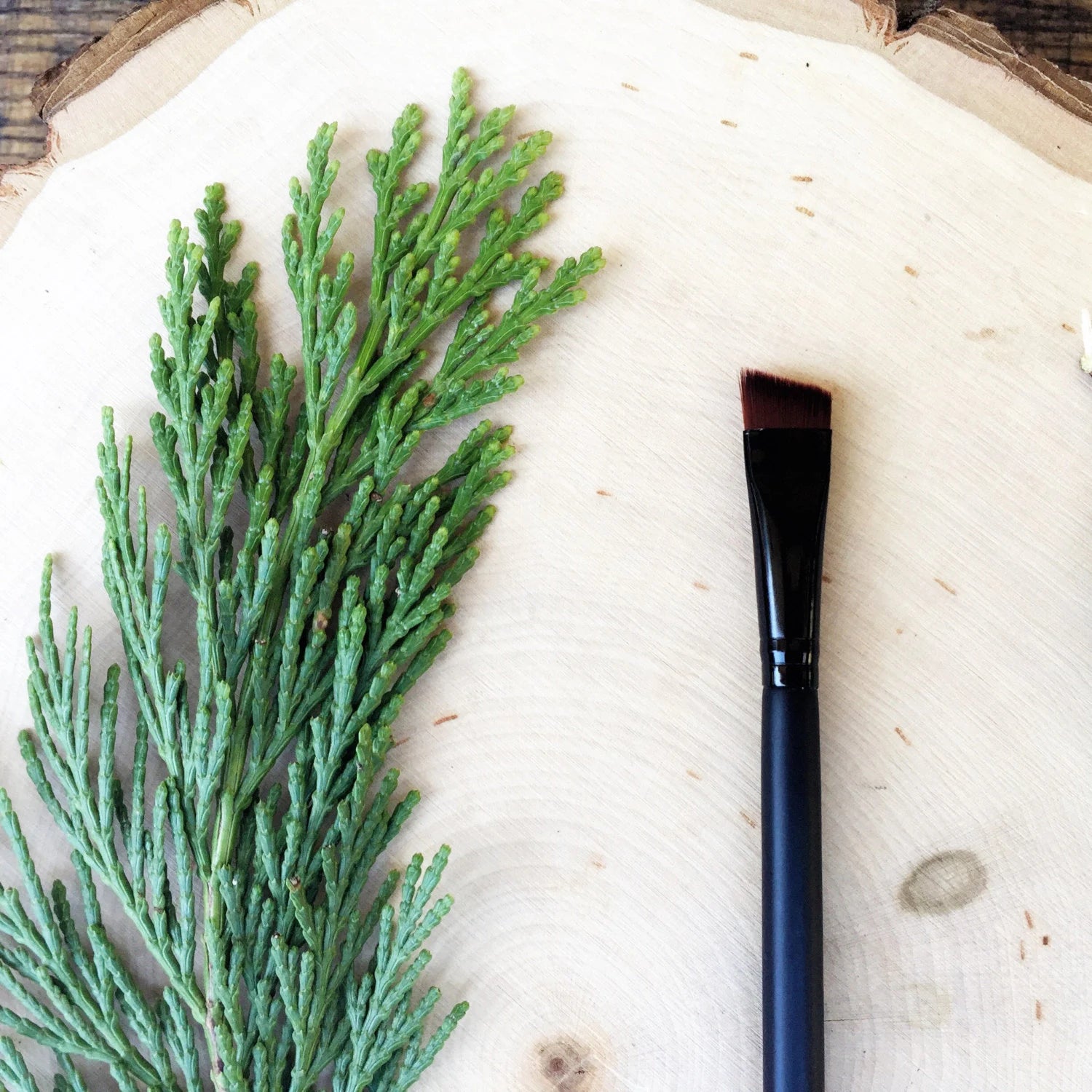 Slant Brush (Eye & Brow) • Brown Vegan Faux • Cruelty Free • Matte Black Wood Handle and Black Ferrules • Cream and Powder • Dye Free