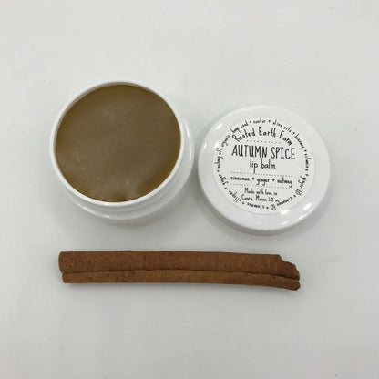Autumn Spice Lip Balm, Fall Lip Balm, Pumpkin Spice, Herbal Lip Balm, Organic Lip Balm, Natural Lip Gloss, Handmade Lip Balm