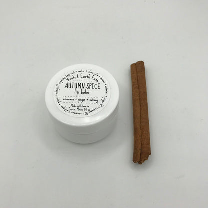 Autumn Spice Lip Balm, Fall Lip Balm, Pumpkin Spice, Herbal Lip Balm, Organic Lip Balm, Natural Lip Gloss, Handmade Lip Balm