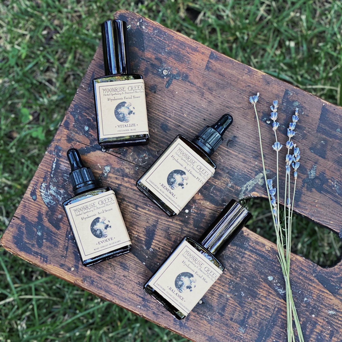 Hyaluronic Acid Serum • Facial Serum • Evolve Blend • Rose + Neroli + Rosemary