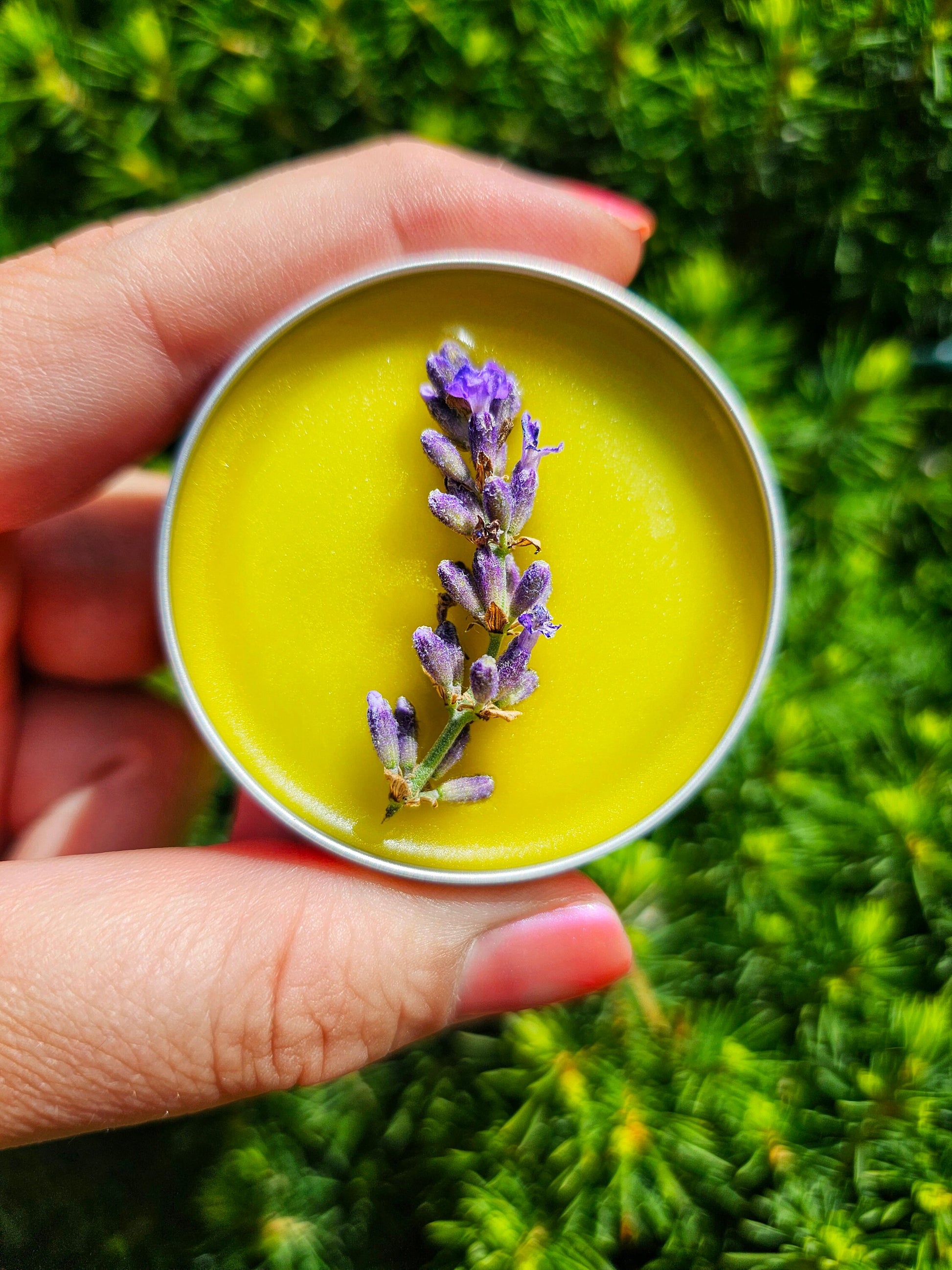 Simply Lavender Salve, Wildcrafted Garden Grown Organic Herbal Balm, Ethically Created No Scent Added Botanically Infused Handcrafted Salve