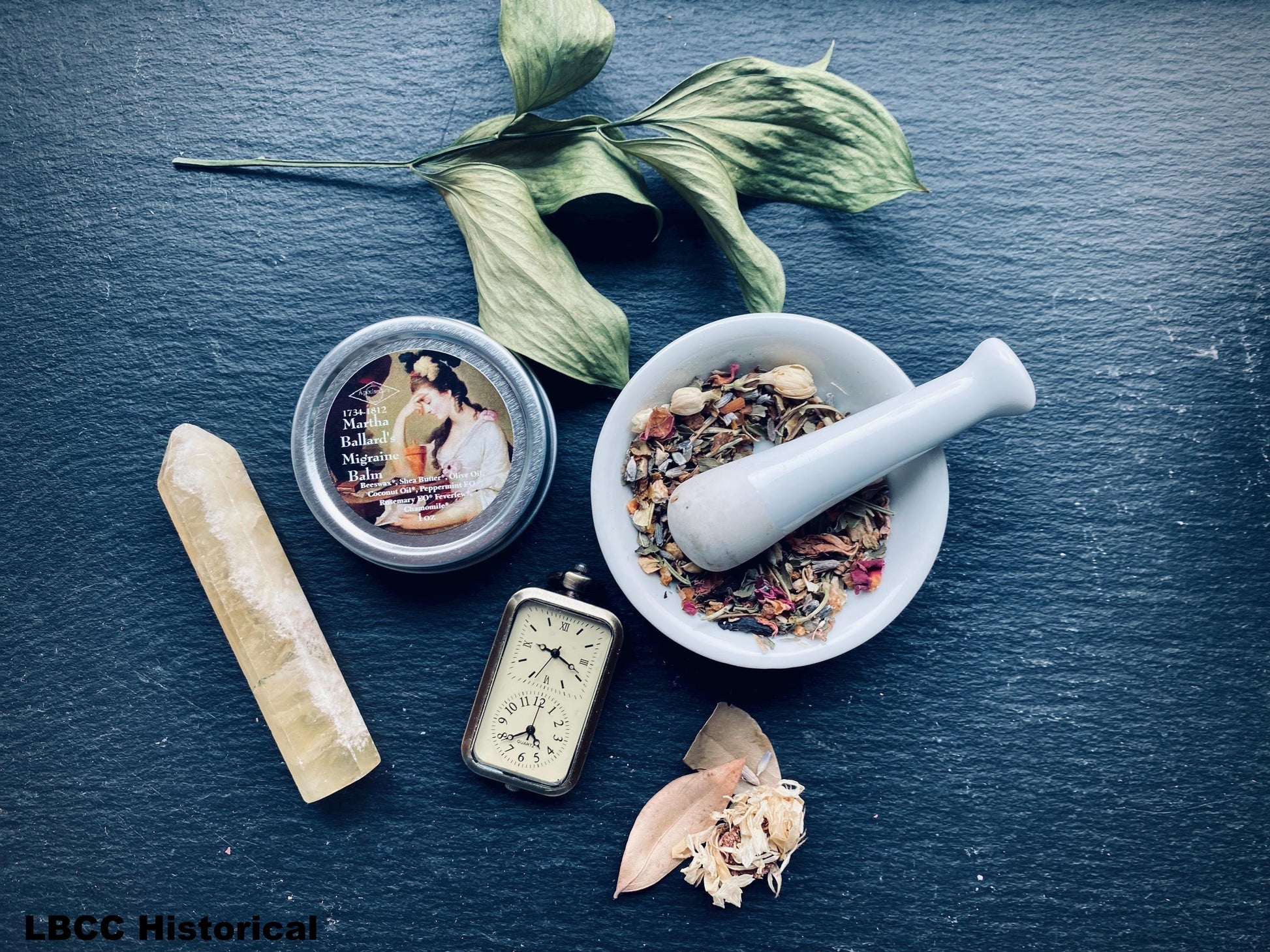 Head Neck Megrim Balm 1735-1812 Martha Ballard'S Balm ~ Natural ~ Family Safe Balm ~ LBCC Historical Apothecary