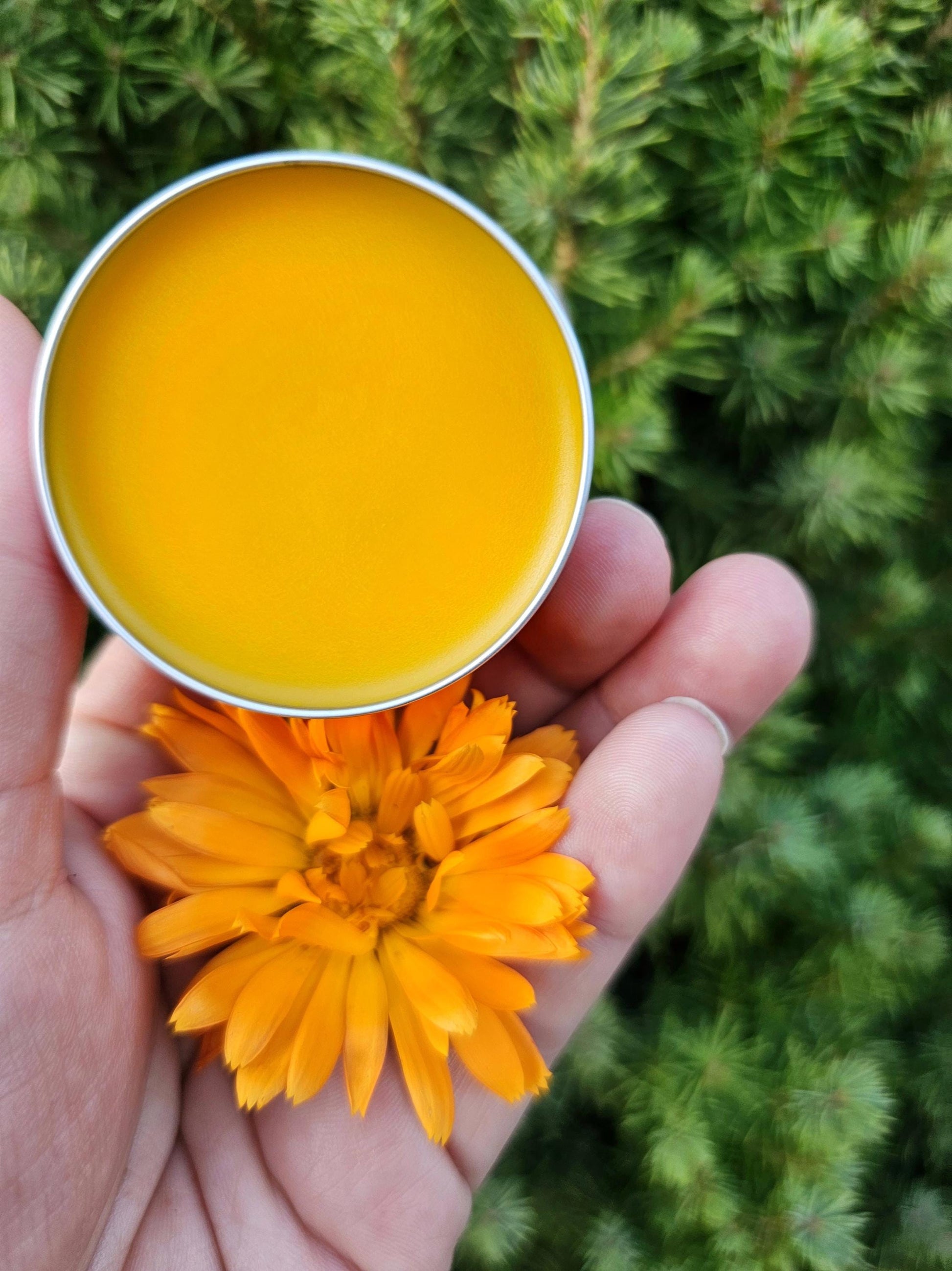Simply Calendula Salve, Unscented Natural Skincare for Hands, Cuticles, Tattoos, Everyday Hydration, Organic Herbal Balm for Dry Rough Skin